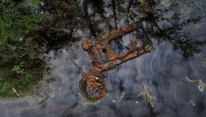 Image in photogallery