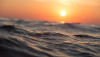 Image in photogallery