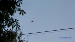 Image in photogallery