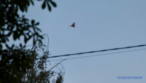 Image in photogallery