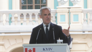 Image in photogallery