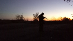 Image in photogallery