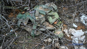 Image in photogallery