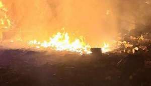 Image in photogallery