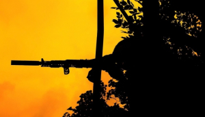 Image in photogallery