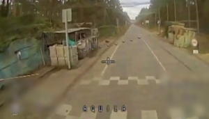 Image in photogallery