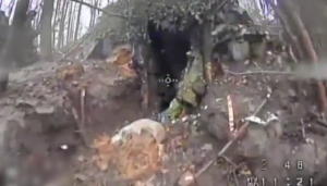 Image in photogallery