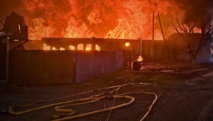 Image in photogallery