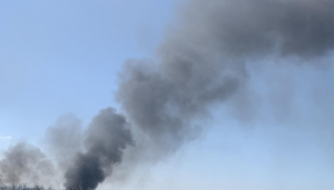 Image in photogallery