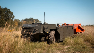 Image in photogallery