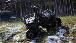 Image in photogallery