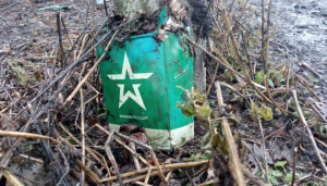 Image in photogallery