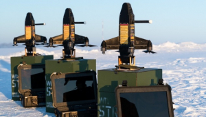 Image in photogallery