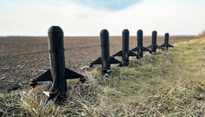 Image in photogallery