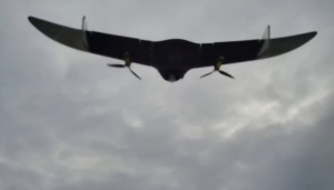 Image in photogallery