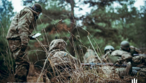 Image in photogallery