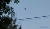 Image in photogallery