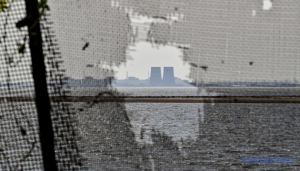 Image in photogallery