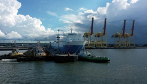 Image in photogallery